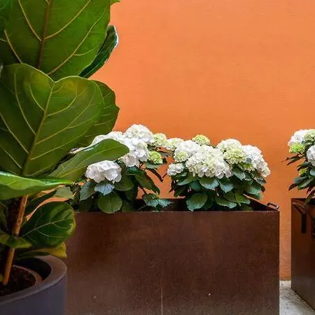 Apartment Ab - Via Sant'isaia 102 *